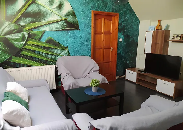 Norbert Vendeghaz Balatonszarszo